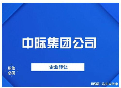 中际控股集团批复新成立旅游开发项目策划咨询